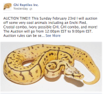 Screen Shot 2014-02-22 at 11.15.55 PM