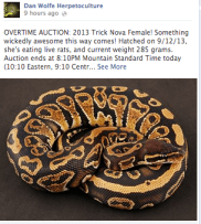 Screen Shot 2014-02-27 at 8.25.46 PM