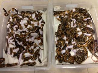 10462697_10202863283476382_8100984301529214316_n