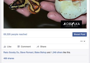 Screen-Shot-2015-11-20-at-10.41.12-AM