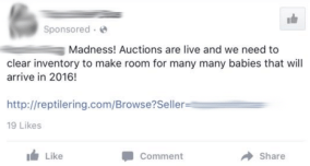 Screen Shot 2016-01-11 at 2.44.09 PM