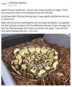 Screen Shot 2016-07-17 at 2.39.26 PM