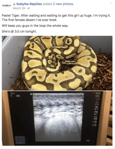 Screen Shot 2016-07-17 at 2.40.43 PM